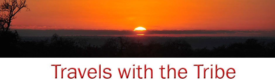 Travels with the Tribe